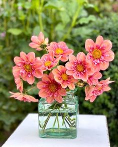 a glass vase filled with pink flowers sitting on top of a white table next to green plants