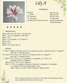 the instructions for crochet lily 4