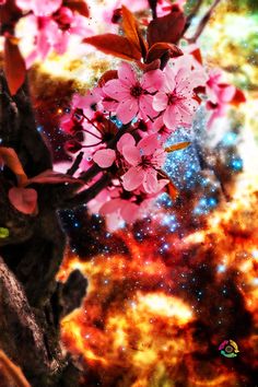 an artistic image of pink flowers on a tree branch in the middle of a multicolored background