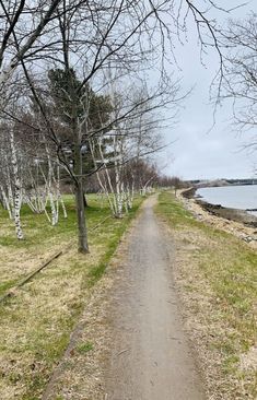 a dirt road that is next to some water and trees with no leaves on it