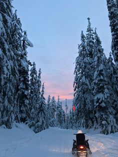 a person on a snowmobile going down a snowy road with trees in the background