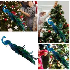 there are three pictures of peacocks on the christmas tree and one is holding a baby