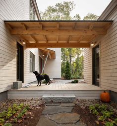 a black dog standing on top of a wooden porch next to a building with an awning