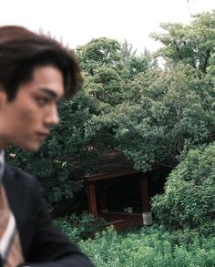 a man in a suit and tie standing next to a tree filled forest with a gazebo