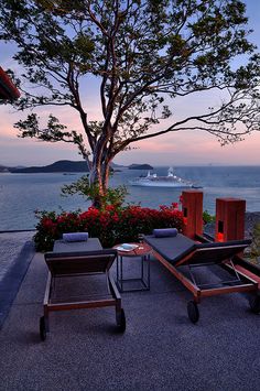 two lounge chairs sitting on top of a patio next to a tree and the ocean