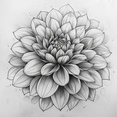 a black and white drawing of a large flower