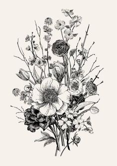 a bouquet of flowers in black and white on a light background, vintage engraving style