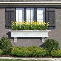 a window box filled with yellow flowers in front of a gray building and green bushes