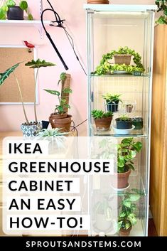 a shelf filled with potted plants and text overlay saying ikea greenhouse cabinet an easy how - to