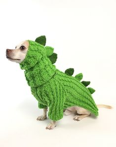 a small dog wearing a green knitted dinosaur costume