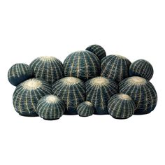 a pile of cactus balls sitting on top of each other