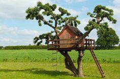 a tree house in the middle of a field