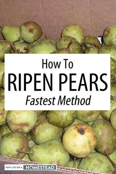 a box full of green pears with the words how to ripen pears fastest method