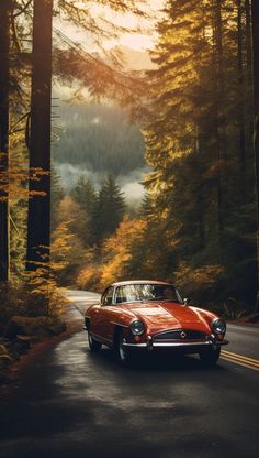 an old red car driving down a road in the middle of a forest with tall trees