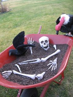 there are skeletons and birds in the wheelbarrow