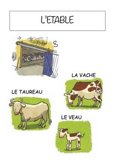 three cows are standing in front of a building with french words written below the pictures