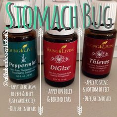 Stomach Bug Essential Oils, Oils For Stomach Bug, Stomach Bug, Essential Oils 101