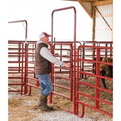 a man standing next to a red metal fence in front of a barn with cows