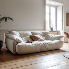 a white couch sitting on top of a hard wood floor next to a potted plant