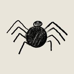 a drawing of a spider on a white background