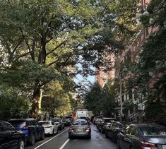 cars parked on the side of a street next to tall buildings and trees with lots of green leaves