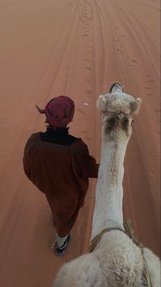 a man riding on the back of a camel down a sandy road in the desert