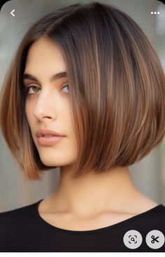 Aline Textured Bob, Chin Length Bob No Bangs, Bubble Bob Haircut 2024, Brown Highlights Bob, Bubble Bob Haircut, Bubble Bob, Latest Bob Hairstyles, A Line Bob