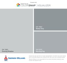 the colorsnap visualizer is shown in gray