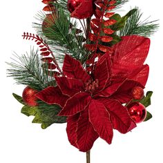 a red poinsettia and greenery in a vase on a white background