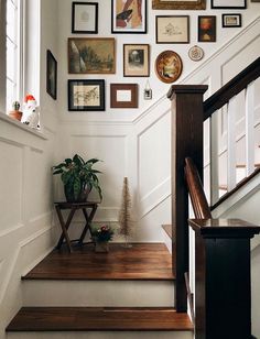 there are many framed pictures on the wall next to the stair case and potted plant