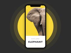 an elephant is on the phone screen and it says, explore elephant with yellow background