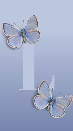 two blue butterflies flying next to each other on a gray and white background with the letter i