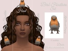 an image of a woman with birds on her head and the words bird families set