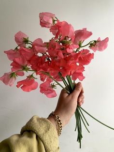 a person holding pink flowers in their hand