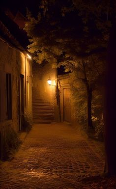 an empty street at night with lights on and steps leading up to the building in the distance