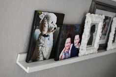 three frames on a shelf with two pictures and a dog