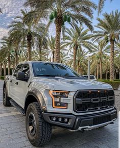 a silver truck parked in front of palm trees