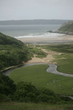 a river running through a lush green field next to the ocean