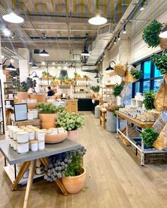 a store filled with lots of potted plants