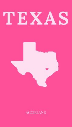 a pink poster with the word texas in white on it's front and side