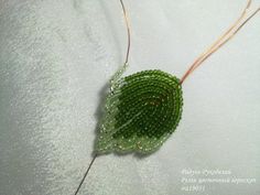 a green leaf with water droplets on it's back and some string attached to it