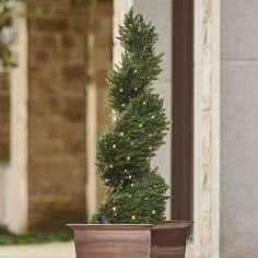 a potted tree is sitting on the sidewalk