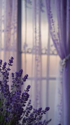 lavender flowers in front of a window with sheer curtains