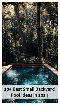 a pool in the middle of a forest with text overlay that reads 20 + best small backyard pool ideas in 2012