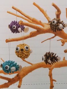 pine cones are hanging from the branches of a tree with eyes and noses on them