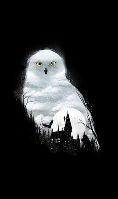 an owl with yellow eyes sitting in front of a full moon and castle at night