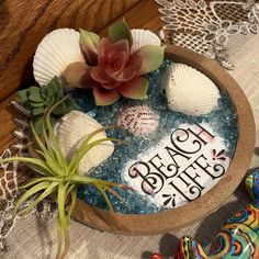 a bowl filled with sea shells and air plants on top of a table next to other decorations