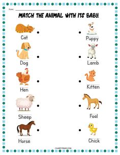 an animal worksheet for kids to learn how to write and read the animals