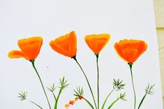 four orange flowers are growing in a vase