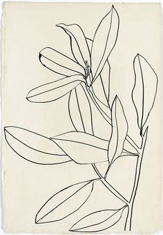 a black and white drawing of leaves